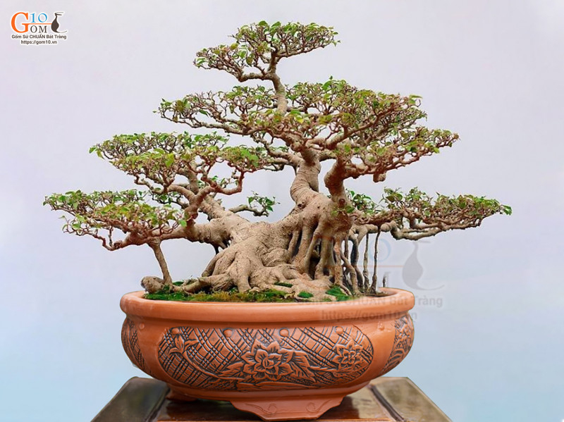 Chậu cây, đôn gốm