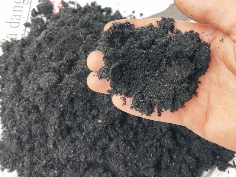 Tro Bốc Bát Hương là Gì? Nên Sử Dụng Tro Nếp Hay Cát Trắng Để Bốc Bát Hương