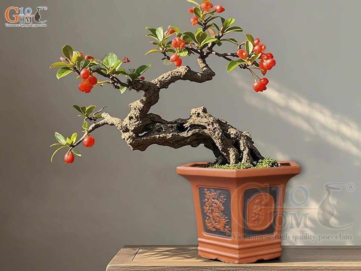 Vì sao nhiều người chọn chậu gốm Bát Tràng cho cây quý?