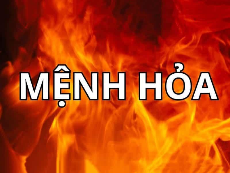 Năm 2026 – Người mệnh Hỏa chọn bình hút lộc màu gì để đón “Mã Đáo Thành Công” ?