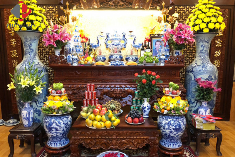 Lộc bình và những điều cần biết khi chơi Lộc Bình