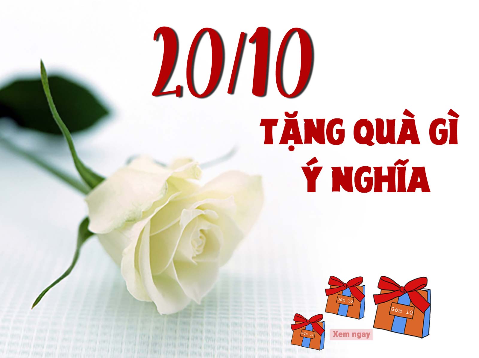 Quà tặng cho nhân viên nữ ngày 20/10, bạn đã có?