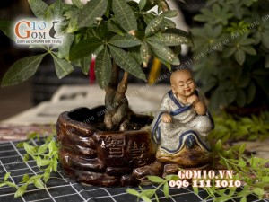 Cây Phong Thủy Nào Giúp Bạn Thăng Tiến, Nhiều Tài Lộc và May Mắn