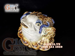 Những Sai Lầm Trong Việc Sử Dụng Cóc Thiềm Thừ Mà Không Phải Ai Cũng Biết