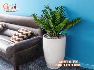 Chậu Gốm Trồng Cây Mua Ở Đâu? Giá Bao Nhiêu Tại TP. Hồ Chí Minh