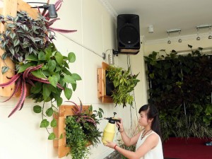 TOP 5 DÒNG TRANH TREO TƯỜNG TRANG TRÍ PHỔ BIẾN NHẤT HIỆN NAY