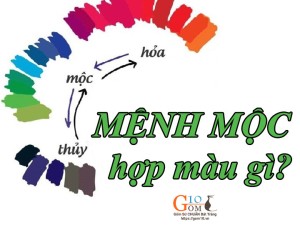 Mệnh Mộc hợp màu gì nhất? Cách chọn màu sắc chuẩn phong thủy cho người mệnh Mộc