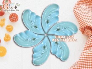 Bộ 6 đĩa cánh tiên Ngọc Thanh Dương