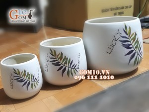 Bộ 3 chậu cây đáy thon LUCKY
