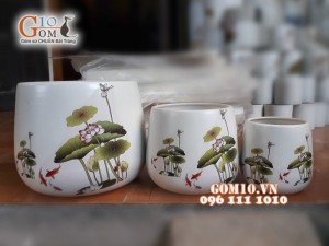Bộ 3 chậu cây đáy thon vẽ sen cá