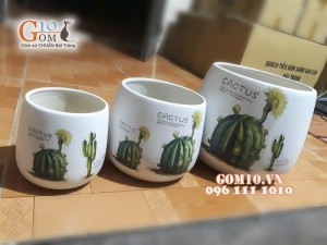 Bộ 3 chậu cây đáy thon vẽ sương rồng hoa vàng ( HẾT HÀNG)