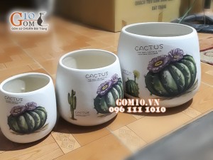 Bộ 3 chậu cây đáy thon vẽ sương rồng