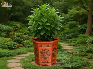 Bộ 3 chậu gốm lục giác khắc hoa nổi, miệng 37cm