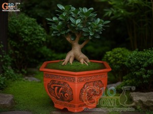 Bộ 3 chậu gốm lục giác khắc Phúc Lộc Thọ, miệng 52cm