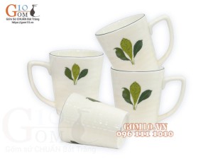 Bộ 4 cốc men kem vẽ Ngò Gai 350ml