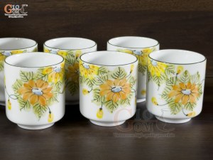 Bộ bình nước men trắng vẽ hoa 2,5L