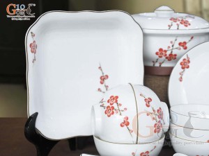 Bộ đồ ăn men trắng vẽ Đào đỏ, 19 chi tiết
