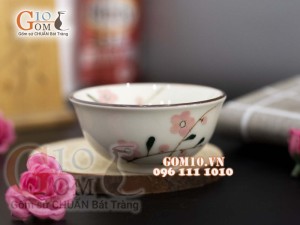 Bộ gia vị men kem vẽ hoa Đào phai