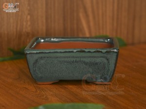 Chậu cây mini men hỏa biến, 11x9cm