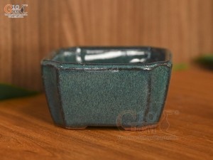 Chậu cây mini men hỏa biến, đường kính 10cm