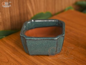 Chậu cây mini men hỏa biến, đường kính 10cm