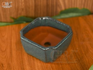 Chậu cây mini men hỏa biến, đường kính 10cm