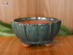 Chậu cây mini men hỏa biến miệng lượn, đường kính 14cm