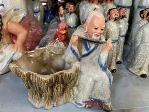 Chậu tiên ông thổi sao, cao 15cm