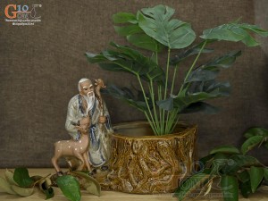 Chậu tượng trồng cây Lộc Thọ men rạn, cao 21cm Chậu tượng trồng cây Lộc Thọ men rạn, cao 21cm