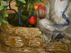 Chậu tượng trồng cây ông Thọ Đào men rạn, cao 18cm