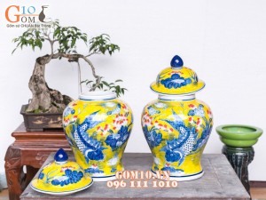 Chóe Chép Sen Vàng 6 lít