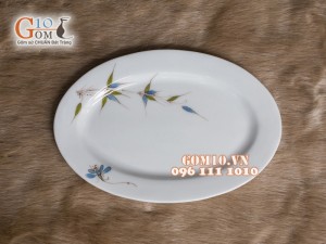 Đĩa bầu dục chuồn chuồn tre