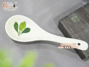 Thìa canh men kem vẽ Ngò gai