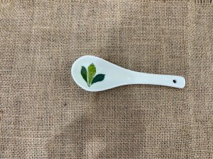 Thìa cơm men kem vẽ Ngò Gai