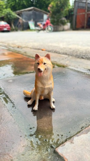 Tượng chó Shiba mẫu ngồi cao 11cm