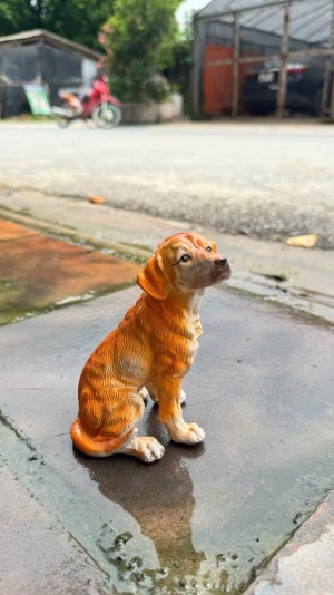 Tượng Chó tai cụp dáng ngồi cao 15cm