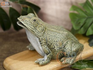 Tượng ếch màu xanh rêu, dài 18cm