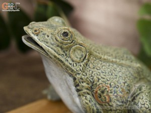 Tượng ếch màu xanh rêu, dài 18cm