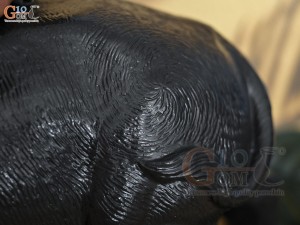 Tượng mục đồng cưỡi trâu thổi sáo, dài 45cm