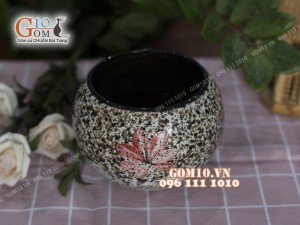 Vò s1 nhiều mẫu